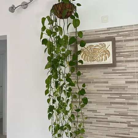 Casa Costa Bella * 科斯塔特吉塞