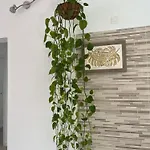 Casa Costa Bella * 科斯塔特吉塞